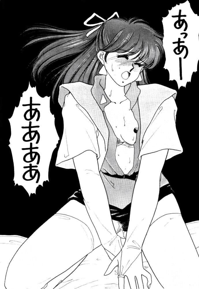 (C38) [秘密結社M (北原亜希)] ANICE 3 楽園の雫 (超音戦士ボーグマン)
