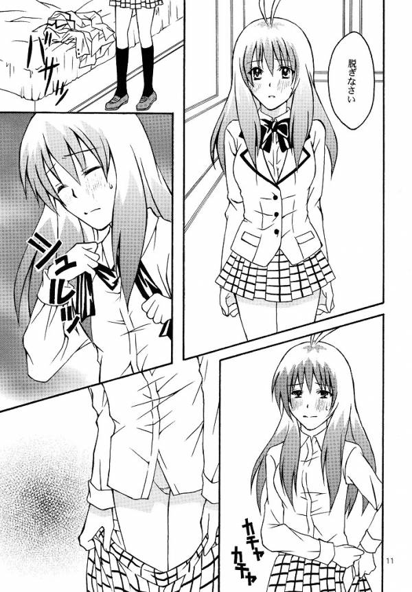 [氷月 (百乃木富夢)] ルンのおしごと (To LOVEる -とらぶる-)