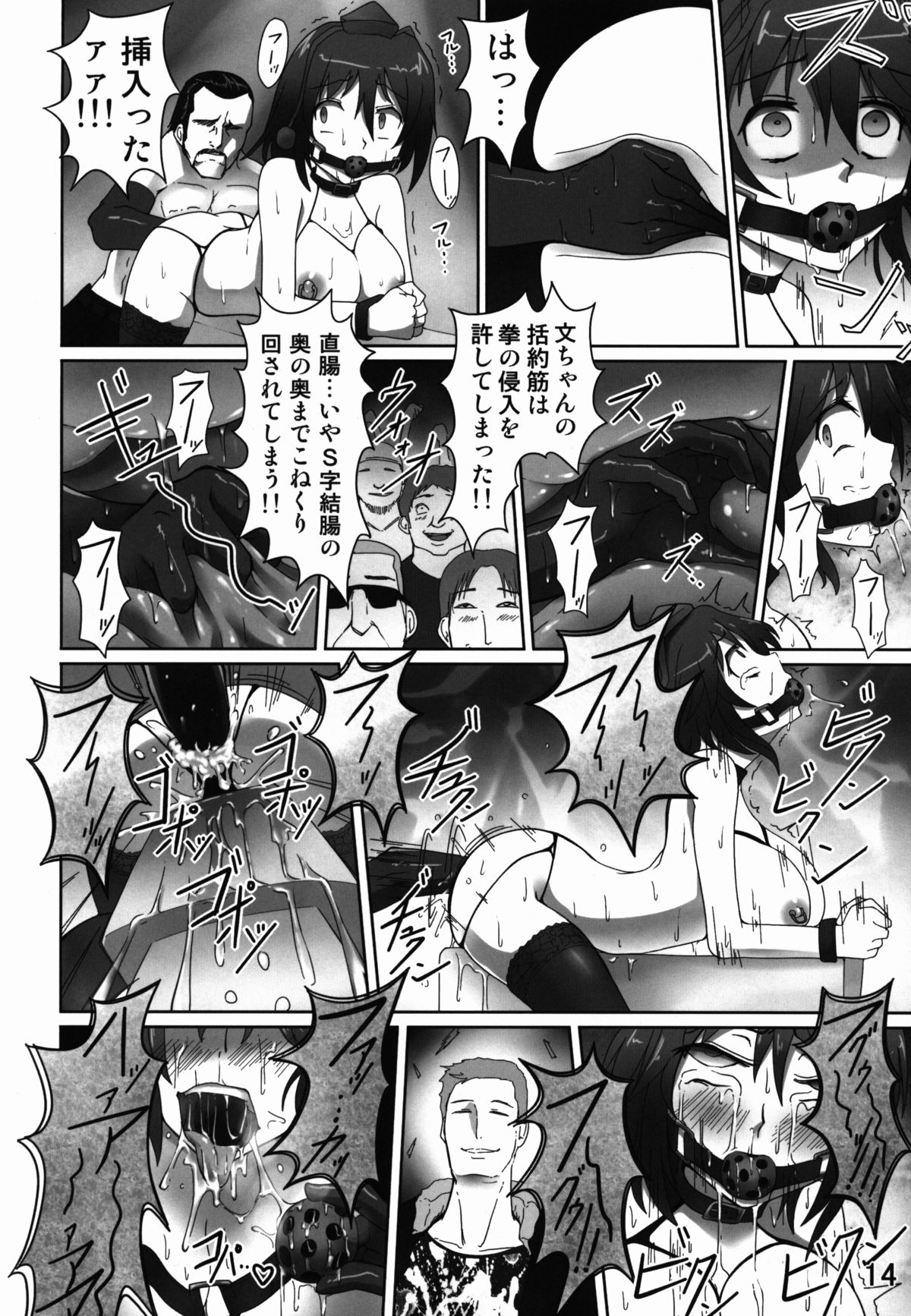 (例大祭11) [サジタリウス (ショーン)] 経肛投与 (東方Project)