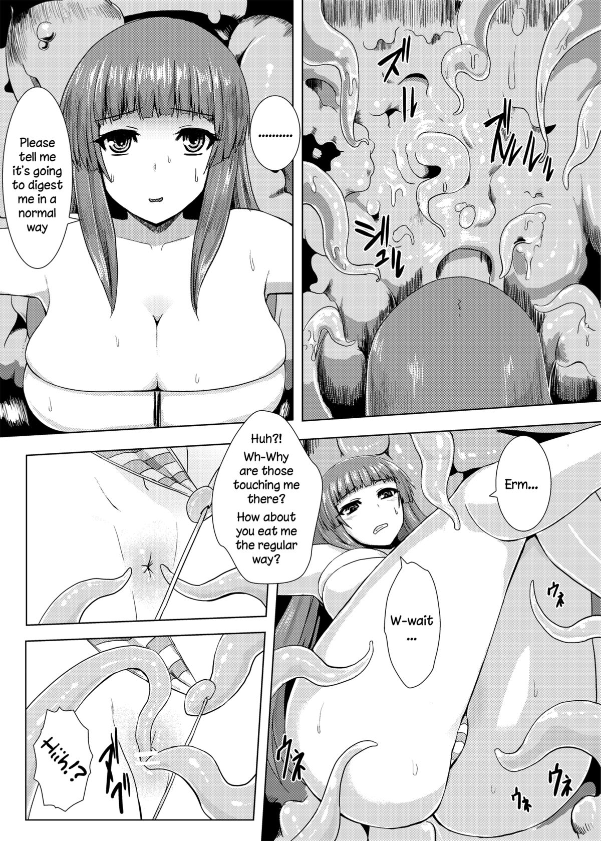 [石村屋 (いしむら)] にくのなかにいる (東方Project) [英訳] [DL版]