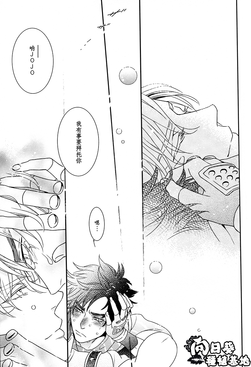 [JOJO] [JC] Stelle [CN]