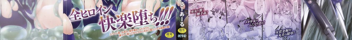 [しーあーる] 戦乙女、敗北の成れの果て + イラストカード