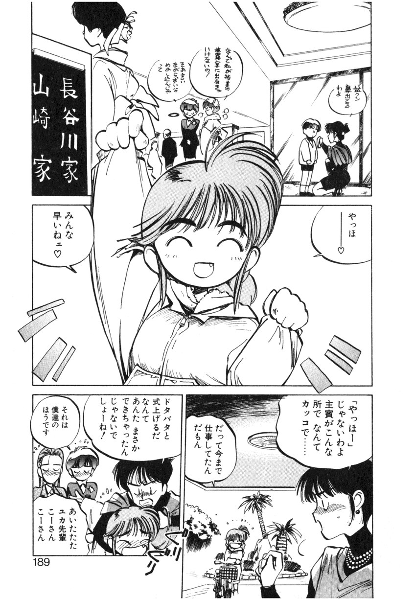 [MEEくん] ひろみちゃん奮戦記 ４ 愛蔵版