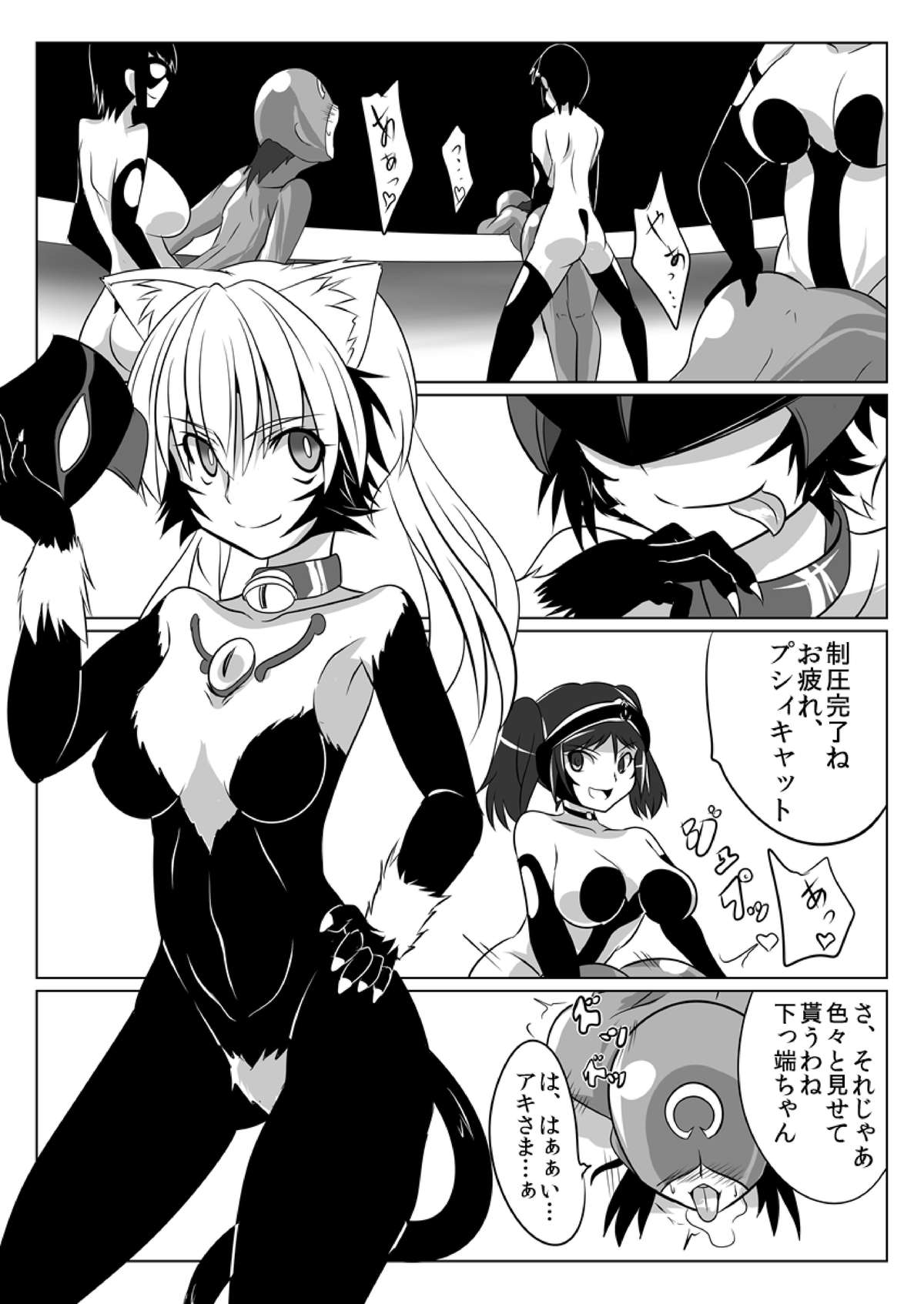 [堕ち玩 (わぶき)] 次元帝国ドミギュラス対オルガナイズドヒロインズ