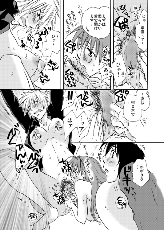 [リリ舎 (りーるー)] 焔たん気をつけて！ (セキレイ)