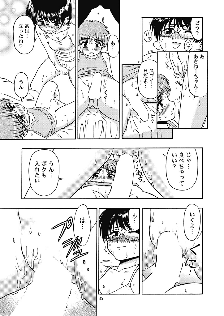 (コミティア108) [うにたま (藤ノ宮悠)] 好き好きおねーちゃん2