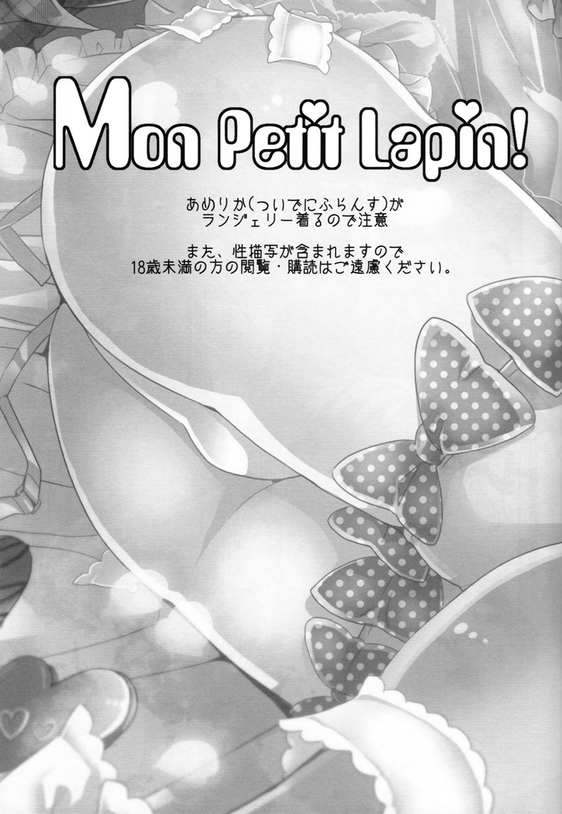 (USA5) [Frenzy (いち)] Mon Petit Lapin! (Axis Powers ヘタリア) [英訳]