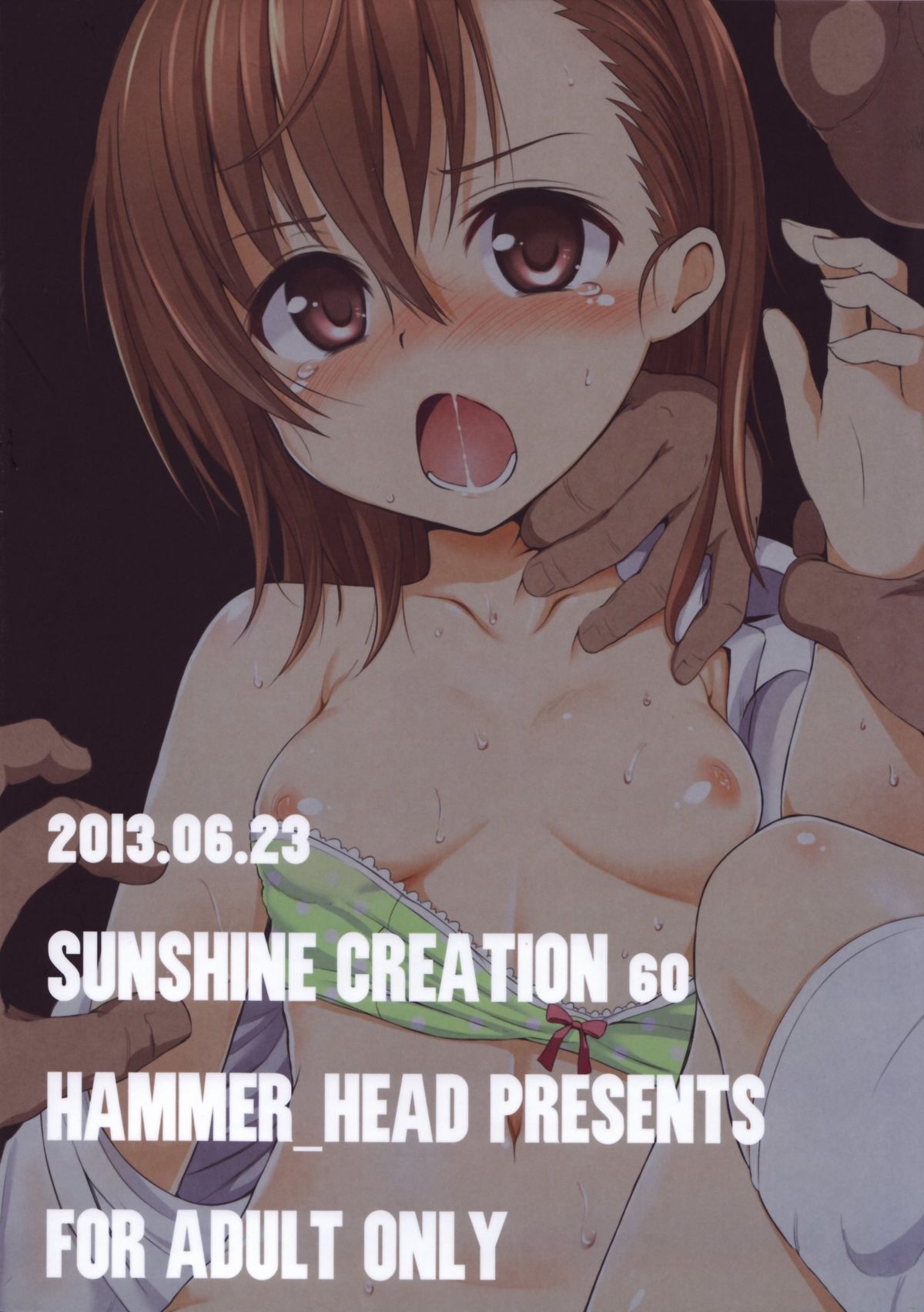 (サンクリ60) [HAMMER_HEAD (真壁吾郎)] HOW TO CREATE LEVEL FIVE (とある魔術の禁書目録)