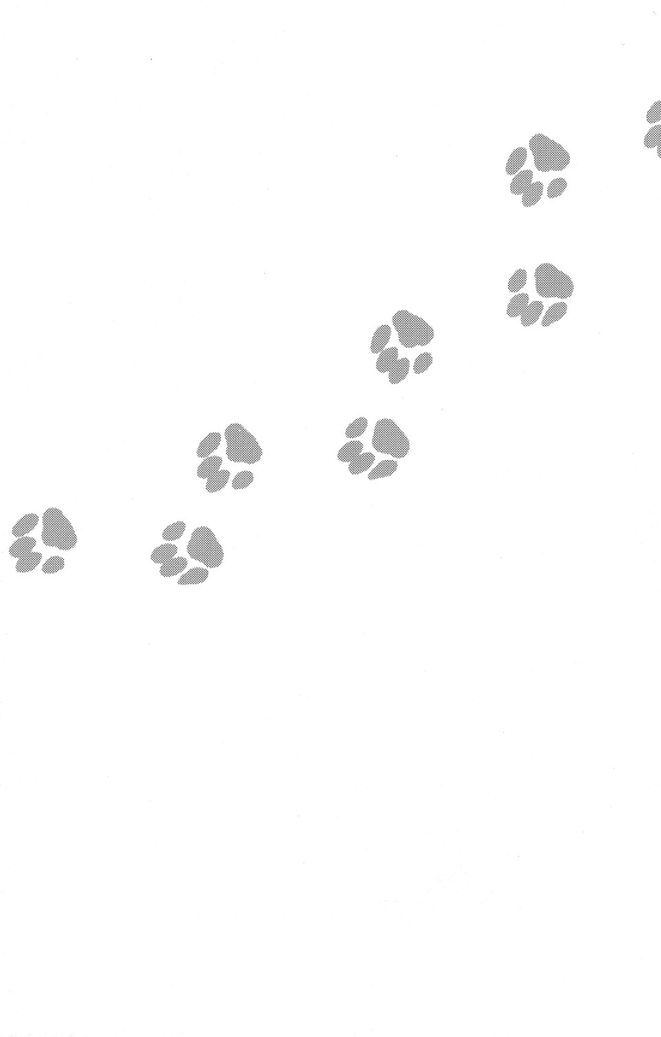 【Sabawo_TransistorAngel（380）】103ごしつの猫