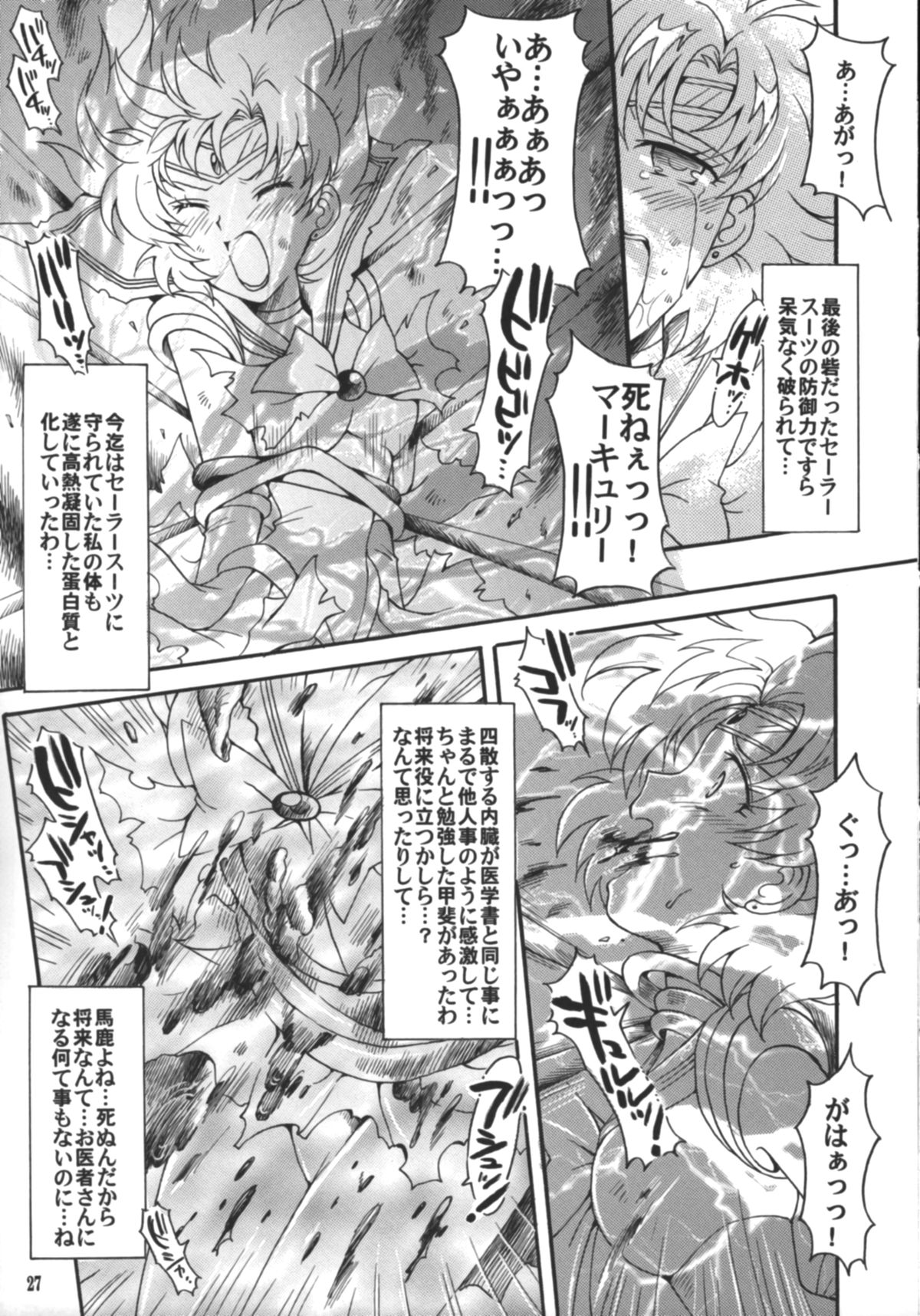 (C75) [小鳥事務所 (桜文鳥)] 始まりの終わり、終わりの始まり (美少女戦士セーラームーン)