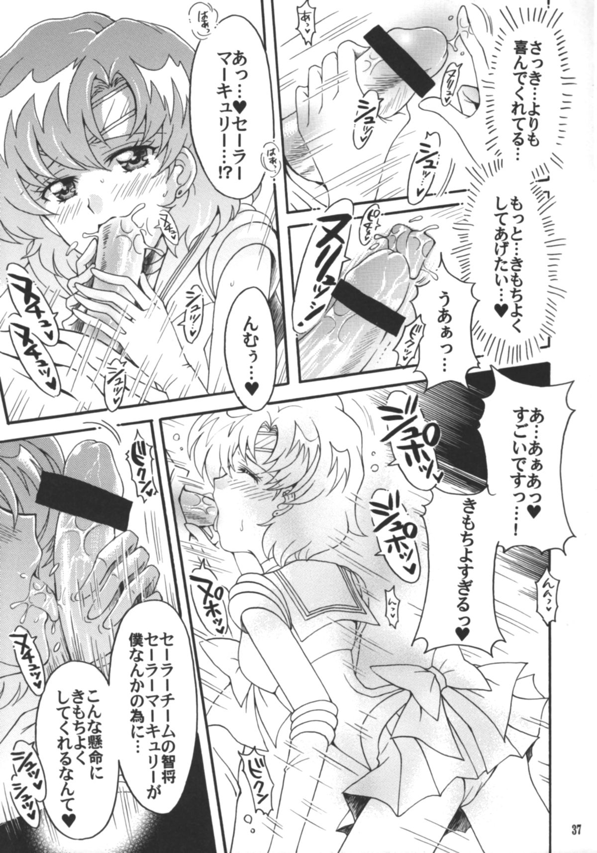 (C75) [小鳥事務所 (桜文鳥)] 始まりの終わり、終わりの始まり (美少女戦士セーラームーン)