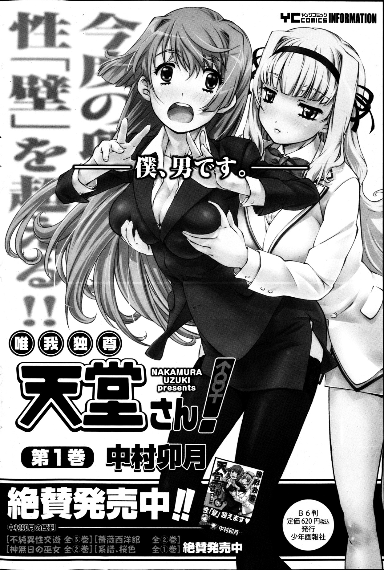 ヤングコミック 2013年4月号