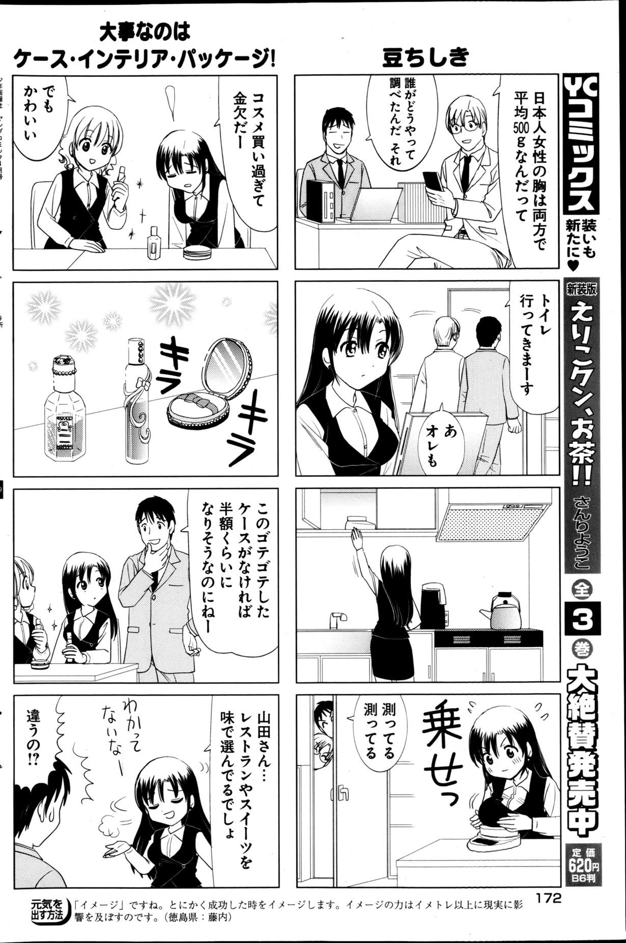 ヤングコミック 2013年4月号