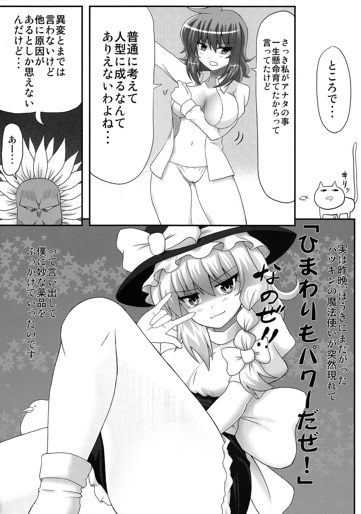 (例大祭8) [スナックよし江 (さわ)] ごっつぁんです幽香さん。 (東方Project)