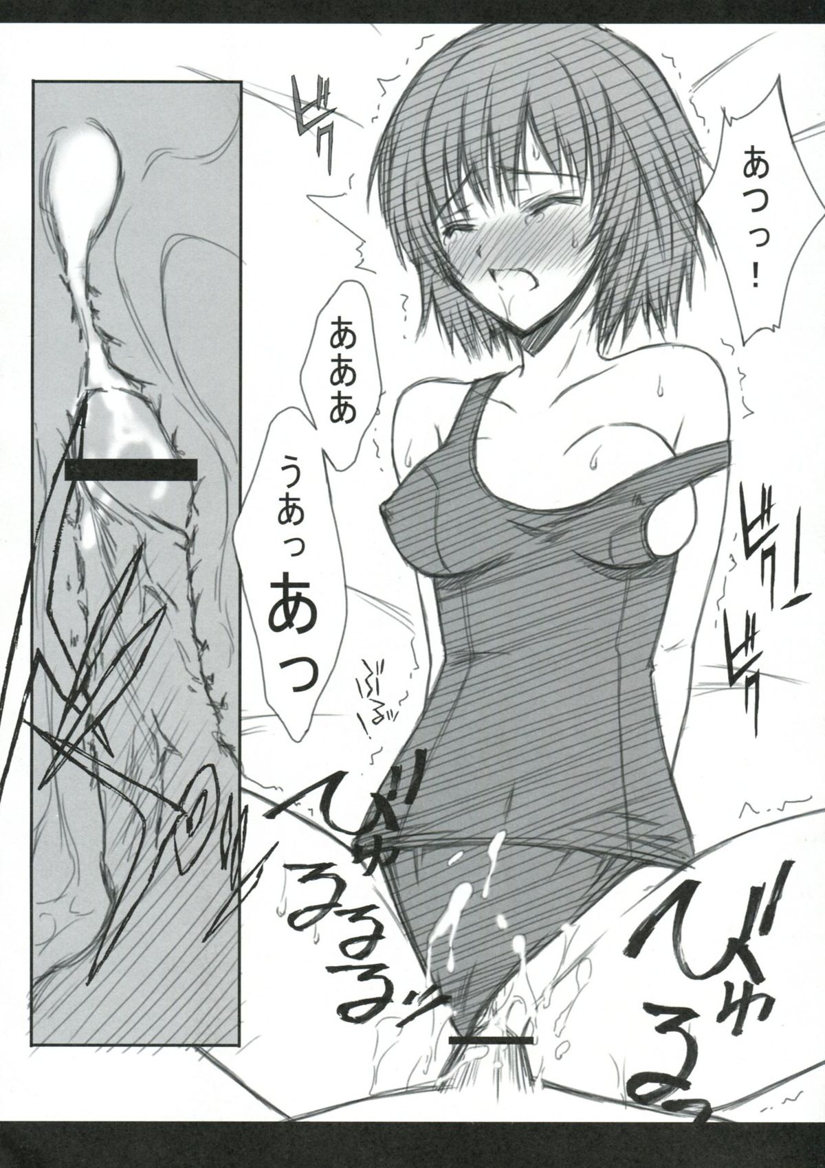 (C77) [Blue Garnet (芹沢克己)] BLUE GARNET XXIII (アマガミ, 化物語)