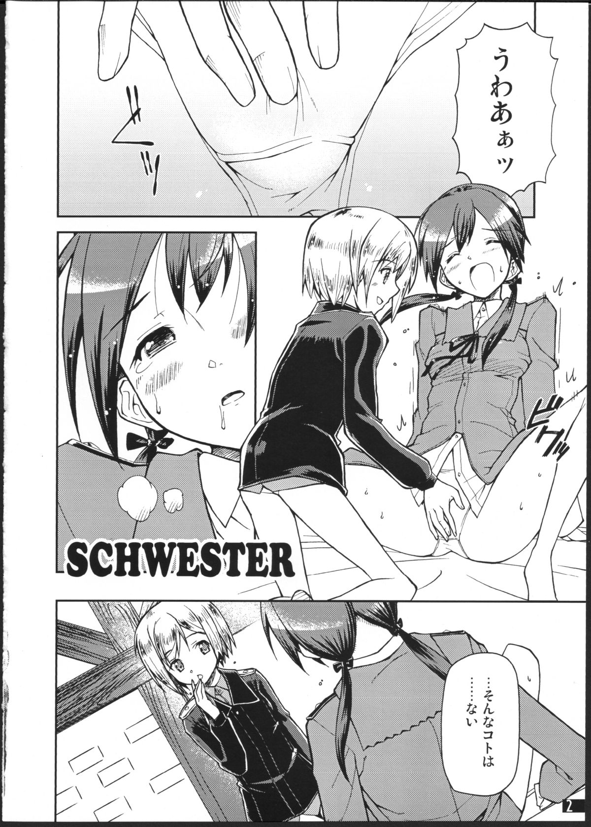 (C75) [ヘタレアーツ (BLACKHEART)] SCHWESTER (ストライクウィッチーズ)