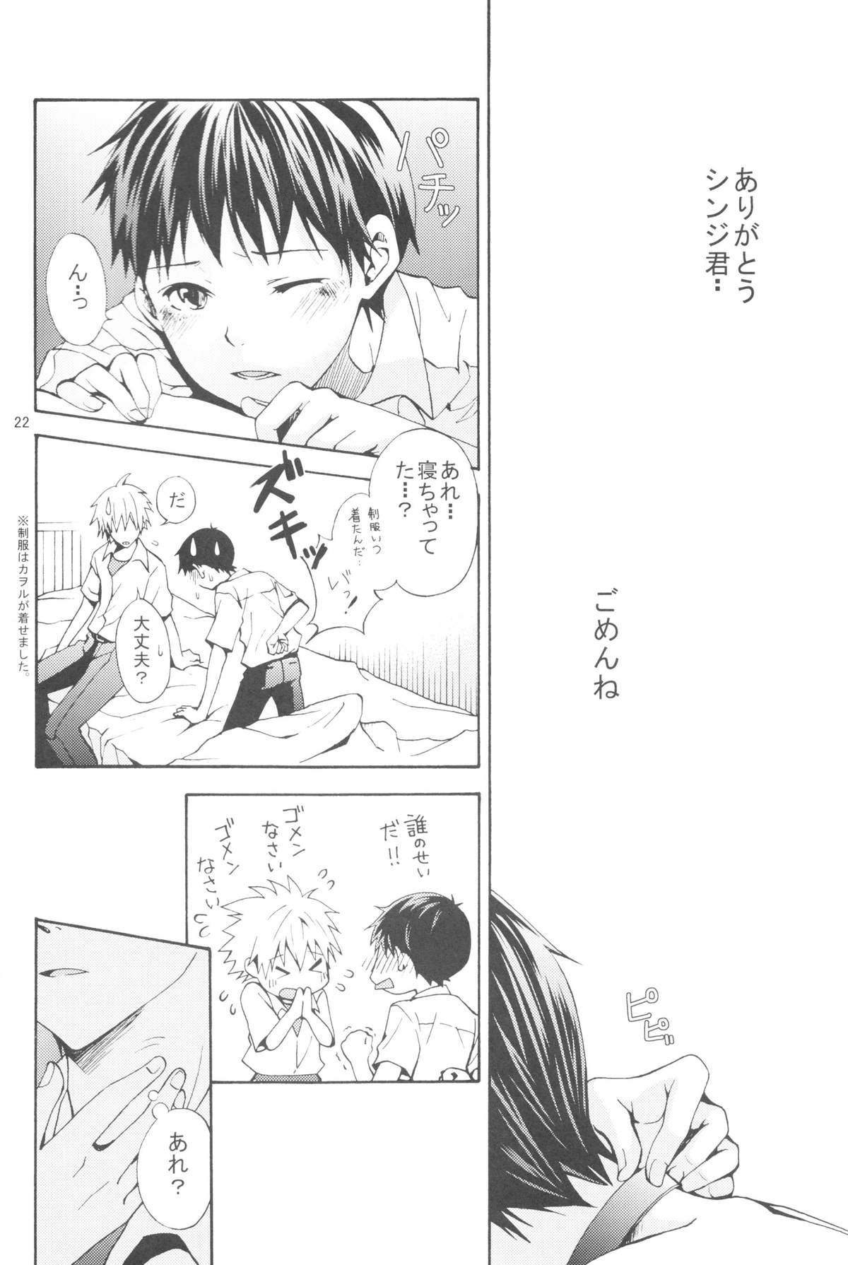 (C83) [プラリネ (鈴鳴なつる)] Nr.9 (新世紀エヴァンゲリオン)