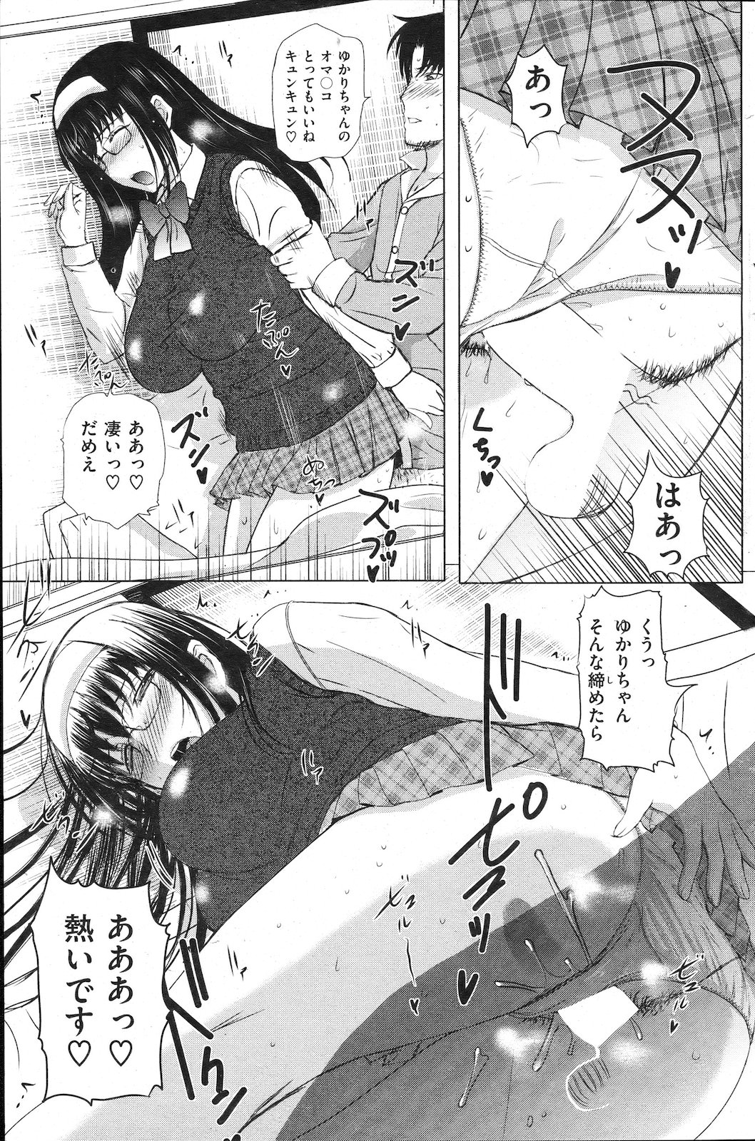 [雑誌] COMIC 失楽天 2011年02月号
