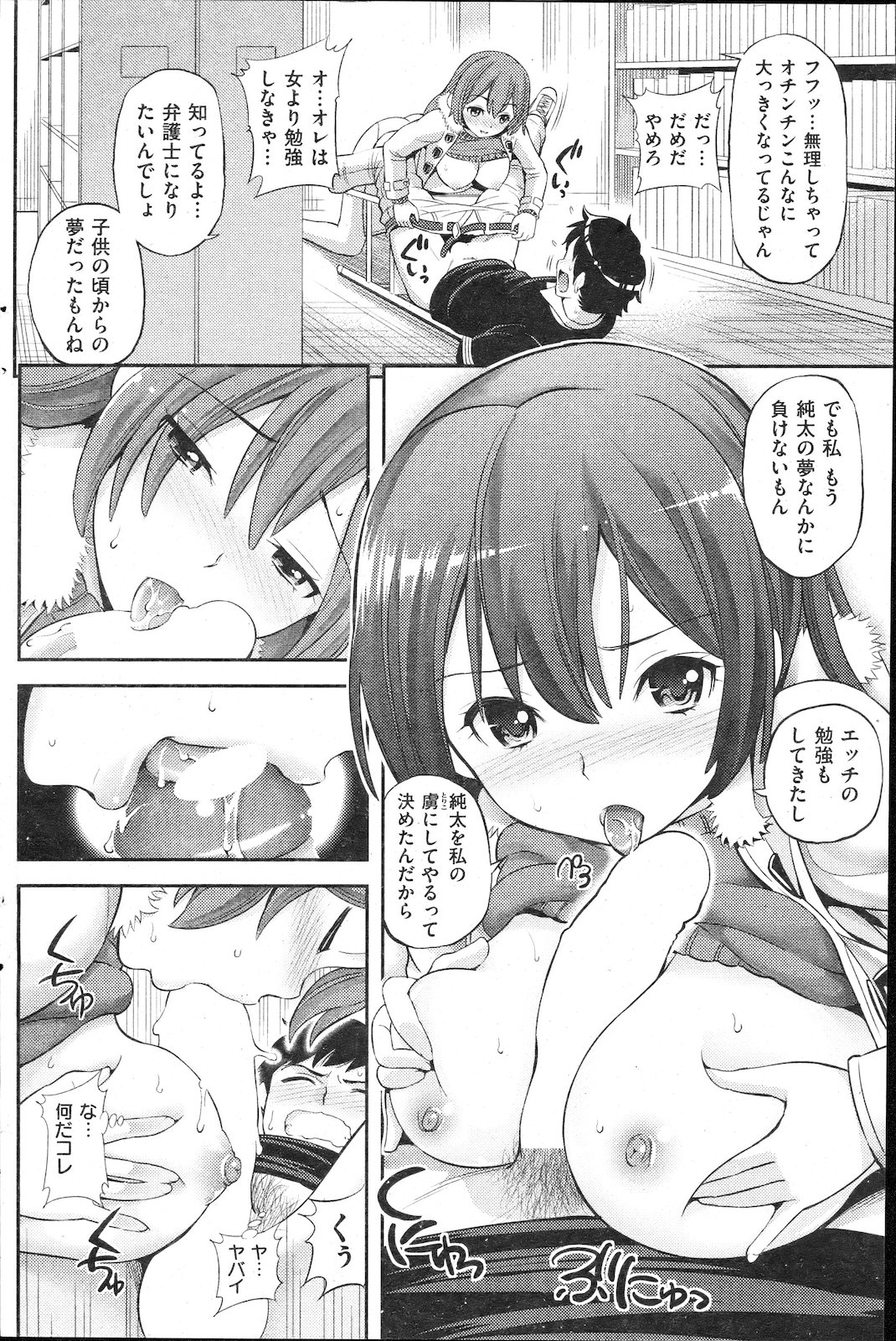 [雑誌] COMIC 失楽天 2011年02月号