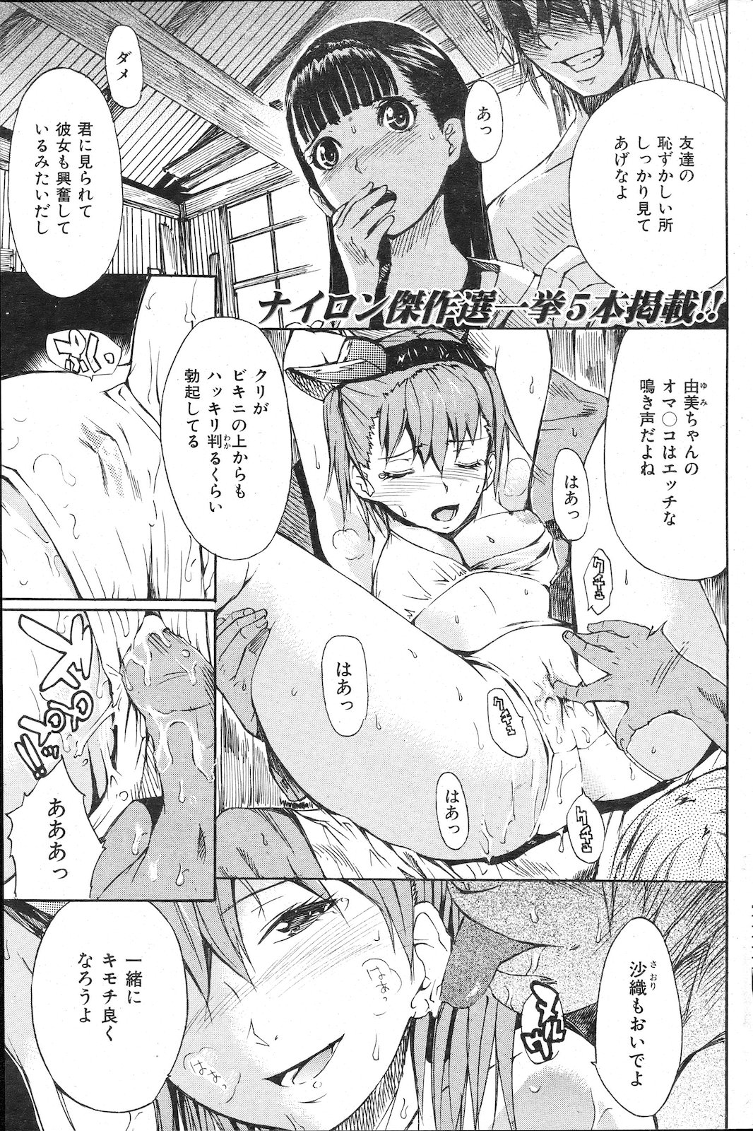 [雑誌] COMIC 失楽天 2011年02月号