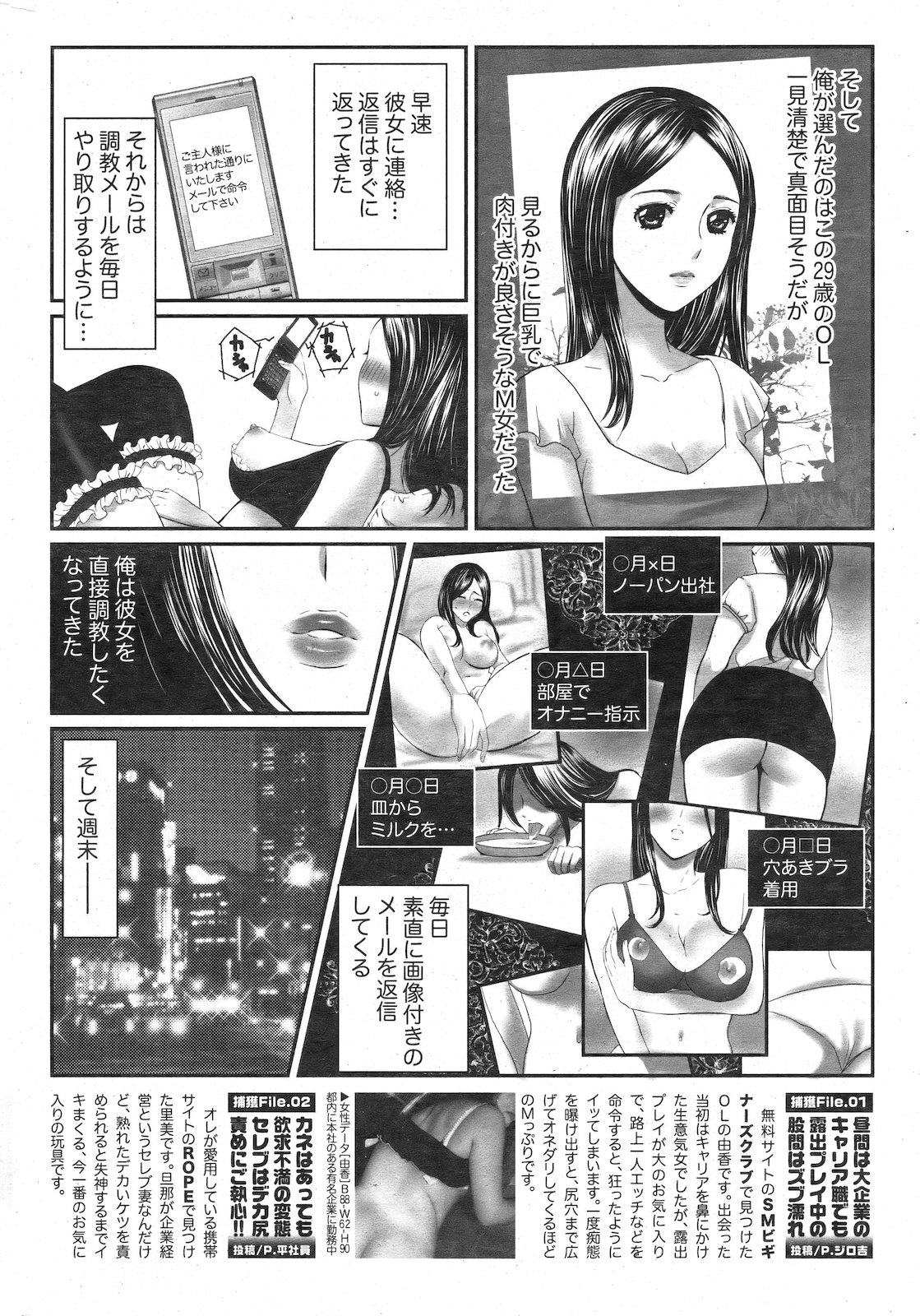 [雑誌] COMIC 失楽天 2011年02月号