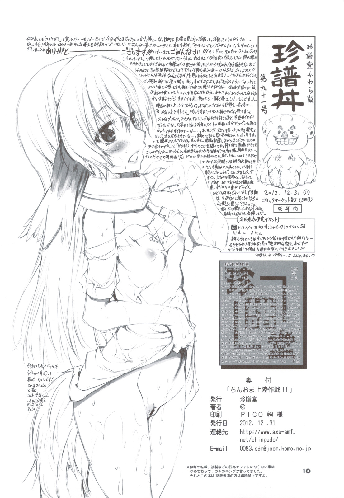 (C83) [珍譜堂 (まるい)] コミケ83会場限定 珍譜堂のオマケ本 略して ちんおま上陸作戦！！ (マブラヴ オルタネイティヴ トータル・イクリプス)