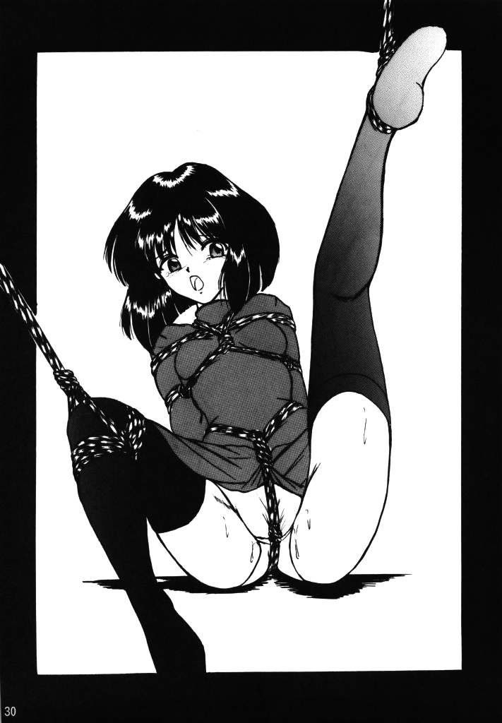 (C75) [サーティセイバーストリート・2D-シューティング (よろず)] サイレント・サターンSS VOL. 11 (美少女戦士セーラームーン セーラースターズ) [英訳]