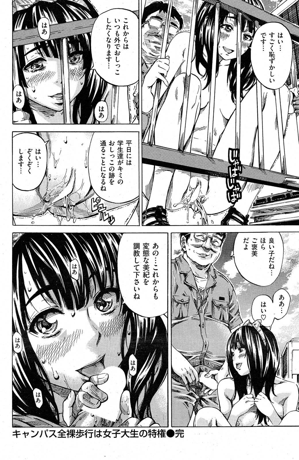 COMIC 失楽天2012年11月号