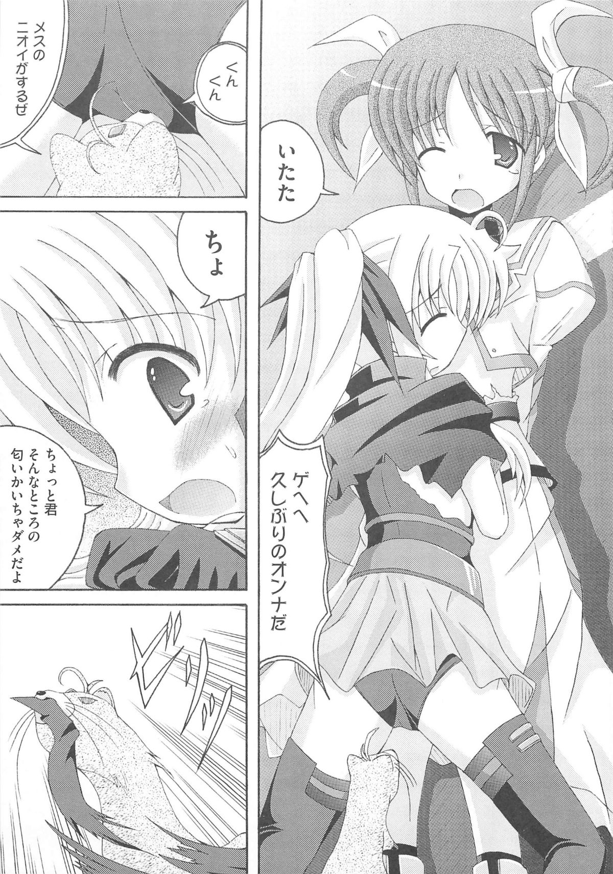 [アンソロジー] りりななinエロス (魔法少女リリカルなのは)