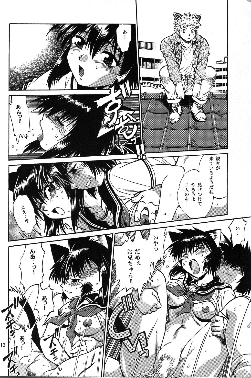 (C67)[スタジオかつ丼 (真鍋譲治, ぴすとん, おきらく兵団)] ネコミミアンソロジー恐悦至極 (よろず)