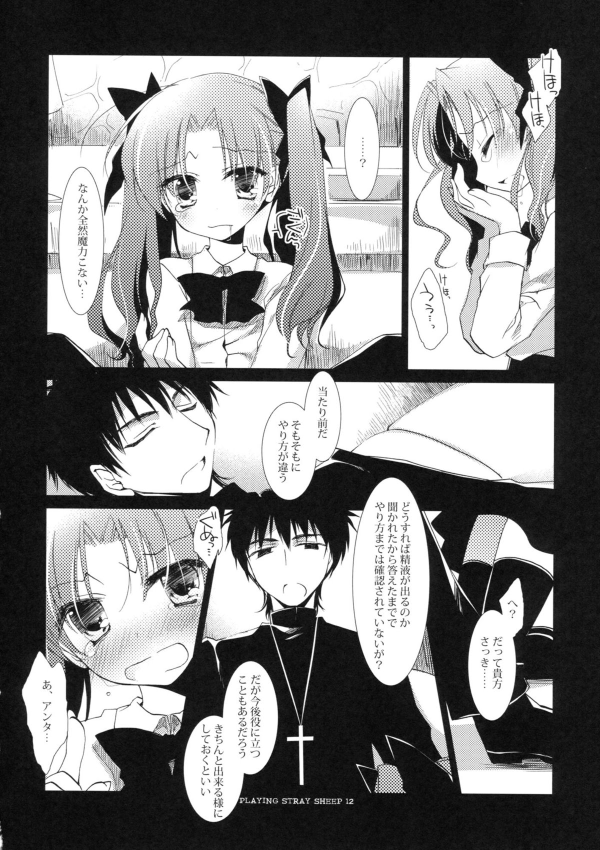 (COMIC1☆6) [FRAC (もとみやみつき)] プレイジングストレイシープ (Fate/Zero)