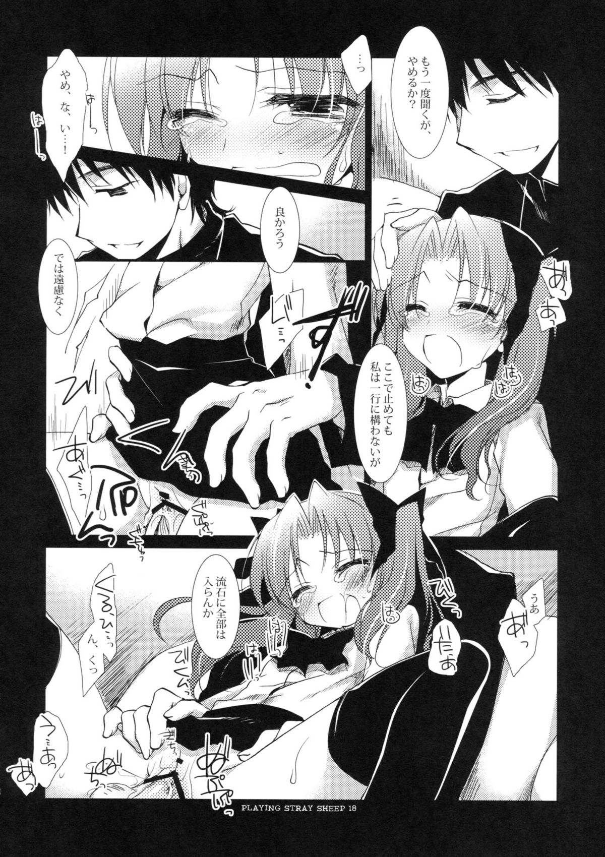 (COMIC1☆6) [FRAC (もとみやみつき)] プレイジングストレイシープ (Fate/Zero)