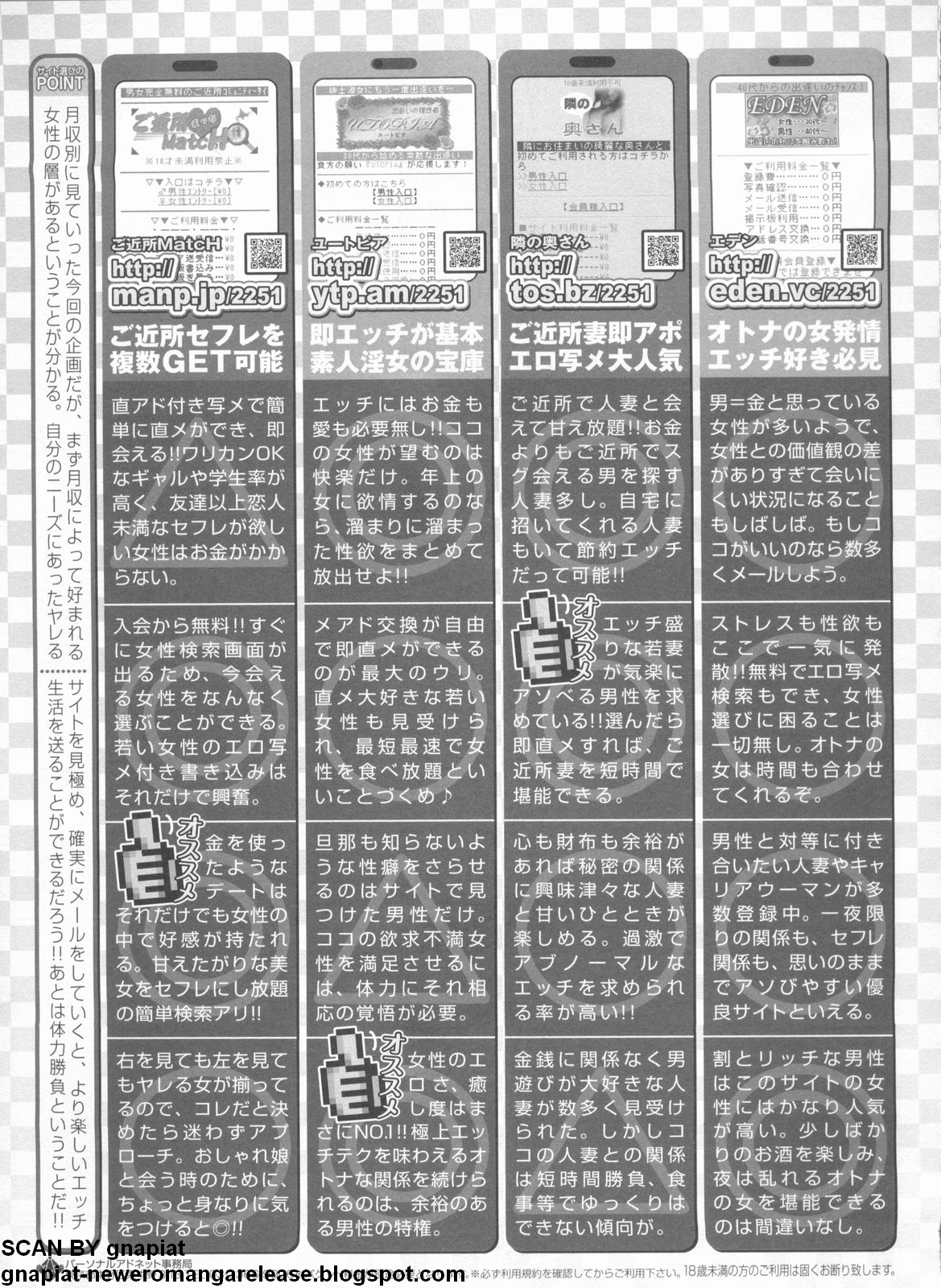 パソコンパラダイス 2009年5月号 Vol.204