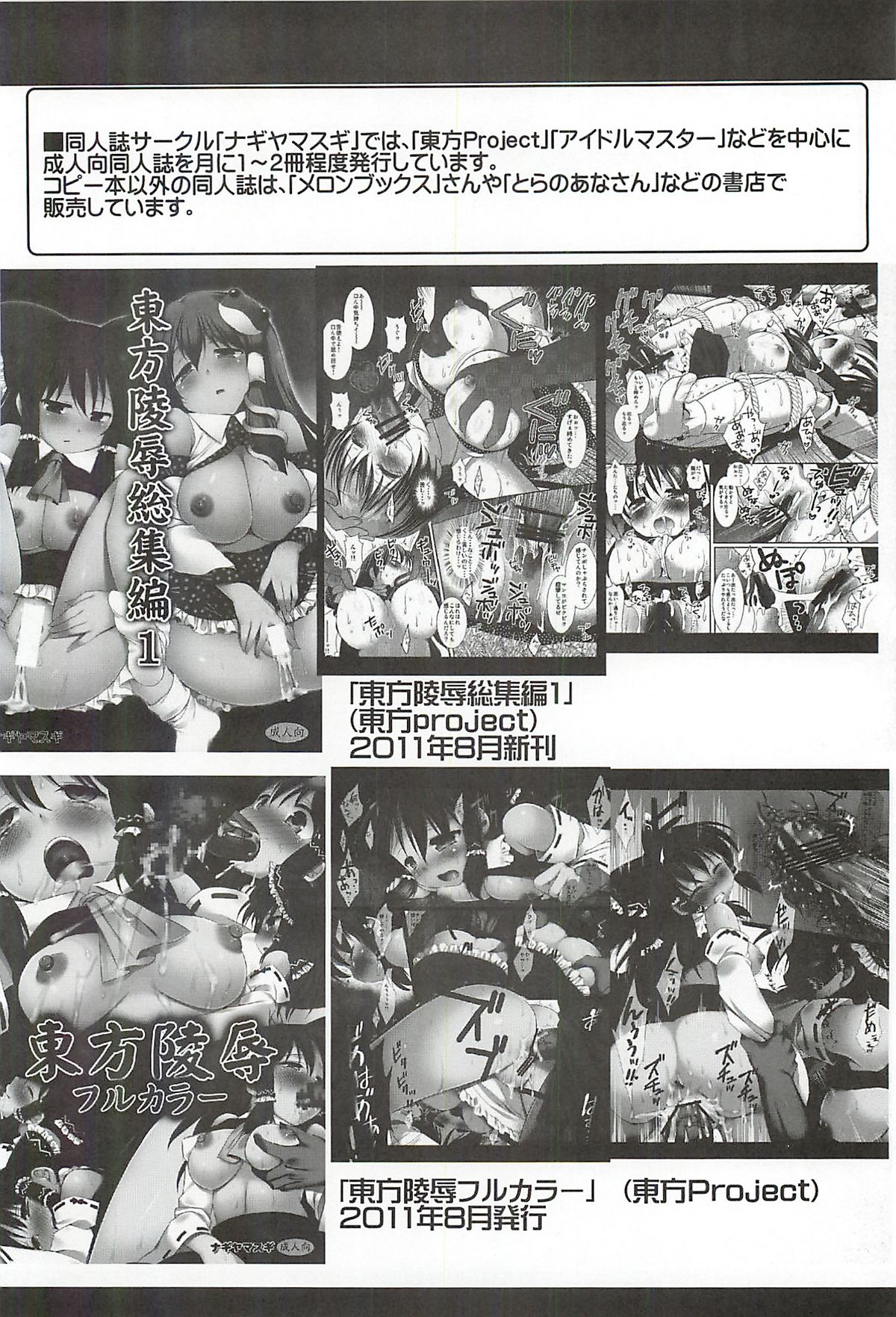 (紅楼夢7) [ナギヤマスギ (那岐山)] 東方陵辱11 (東方Project)