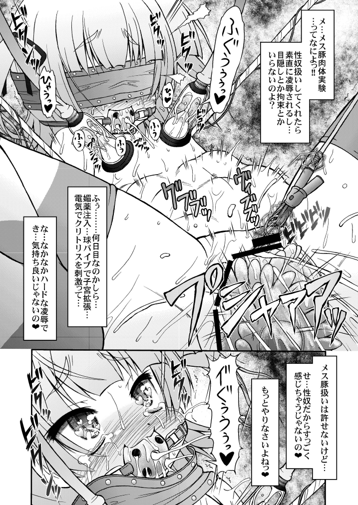 (同人誌) [サークルENERGY] メス豚じゃないもん!性奴だもん!!