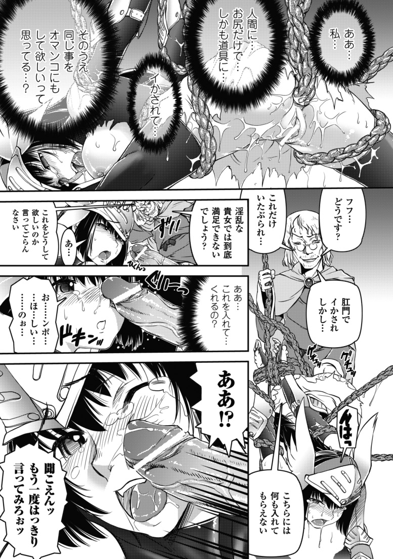 [しなま] 堕ちる闘神 [DL版]