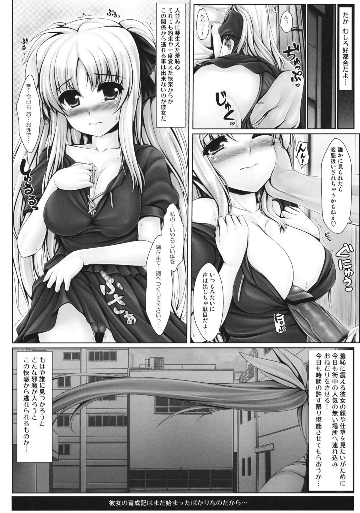 (C81) [うにの種] 人工魔法少女育成記・上 (魔法少女リリカルなのは)