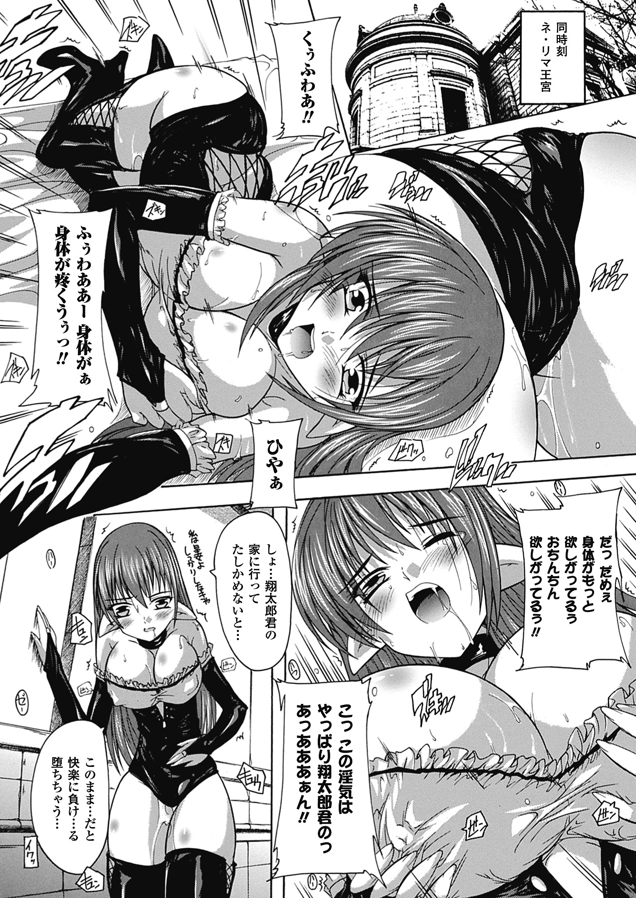 [奈塚Q弥] OZの魔法使い ~愛と淫欲の肉人形~ [DL版]