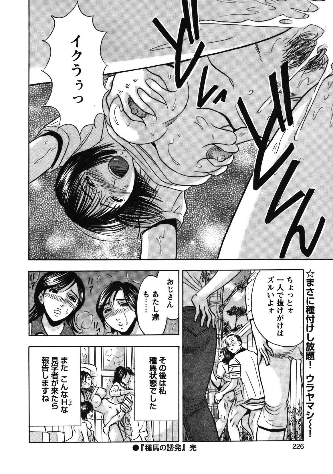 [雑誌] COMIC バズーカ 2012年01月号