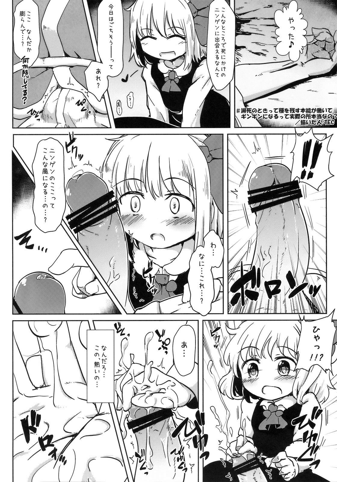 (C81) [全裸屋敷 (全裸、TEC)] たのしいルーミアの騙しかた (東方Project)