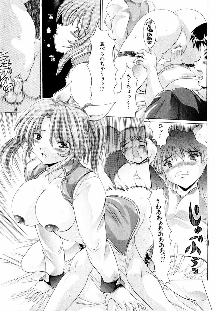コミックヒメドロボウ2004-05