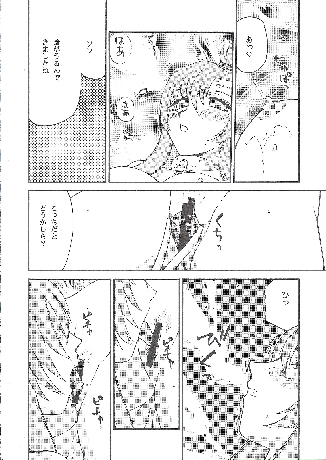 (C68) [LTM. (たいらはじめ)] 種です (機動戦士ガンダムSEED DESTINY)