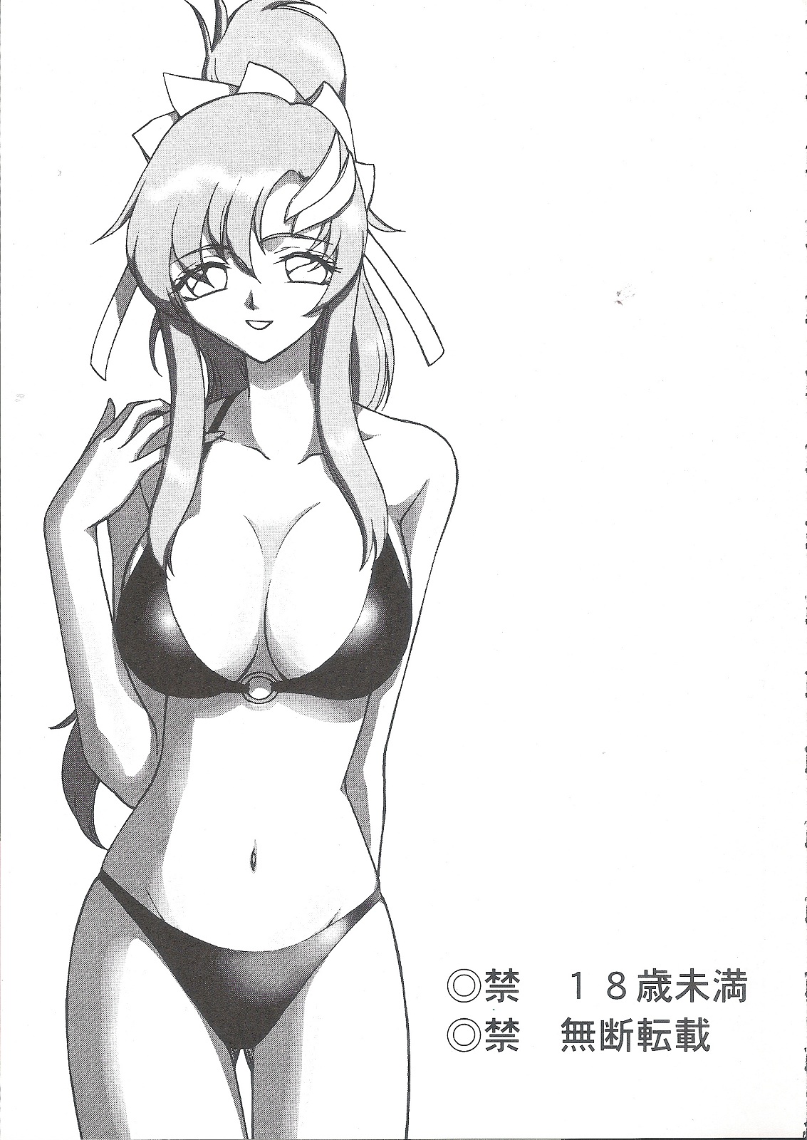 (C68) [LTM. (たいらはじめ)] 種です (機動戦士ガンダムSEED DESTINY)