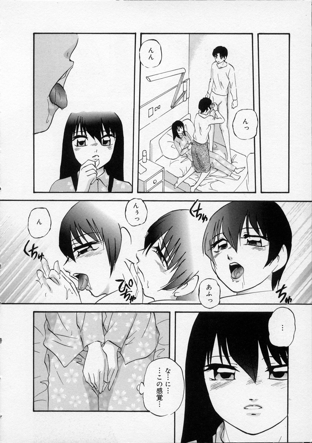 [上総志摩] はっぴいりぼん