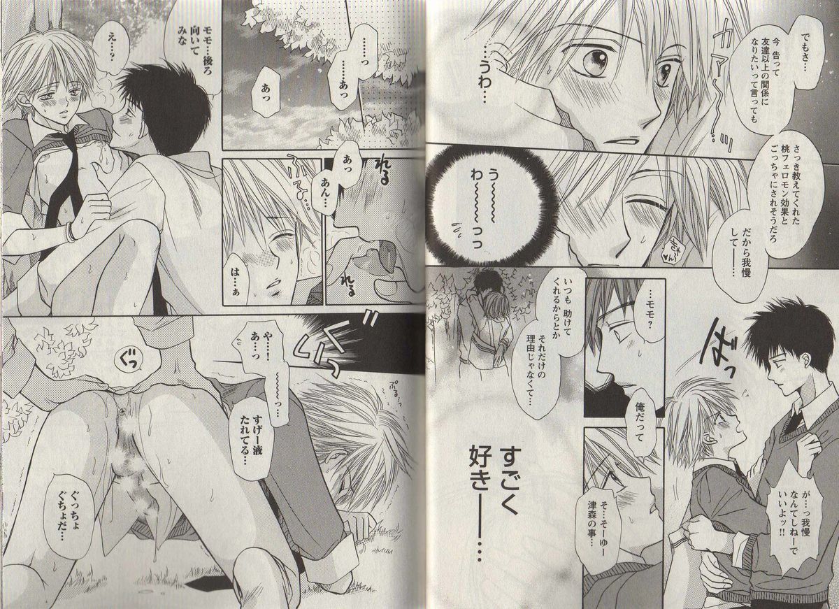 [藤井あや] 桃色男子 ～モモ＆蜜柑パパ編～