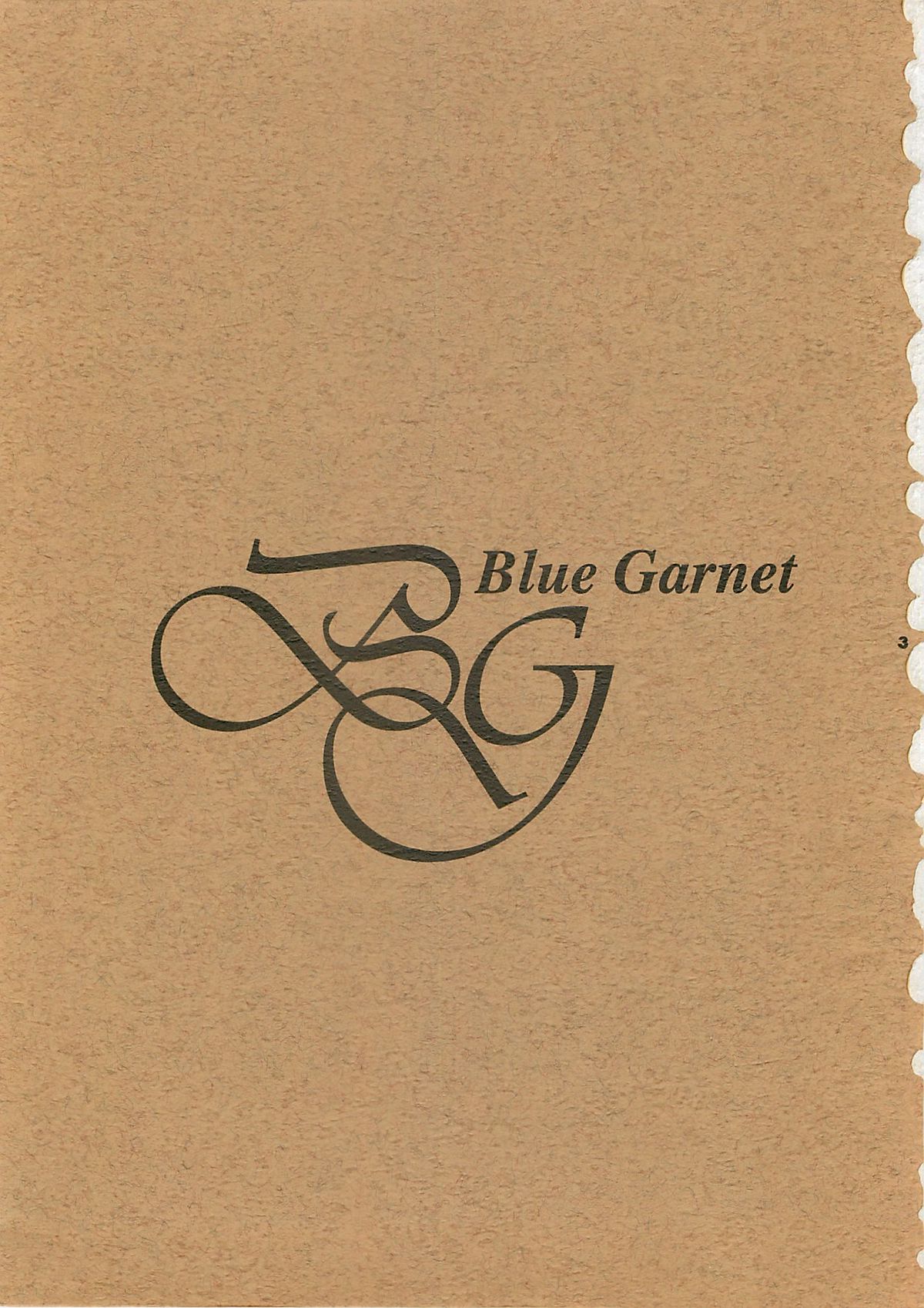 (C52) [BLUE GARNET (芹沢克己)] Blue Garnet Vol.4 禁区 (ヴァンパイアセイヴァー)