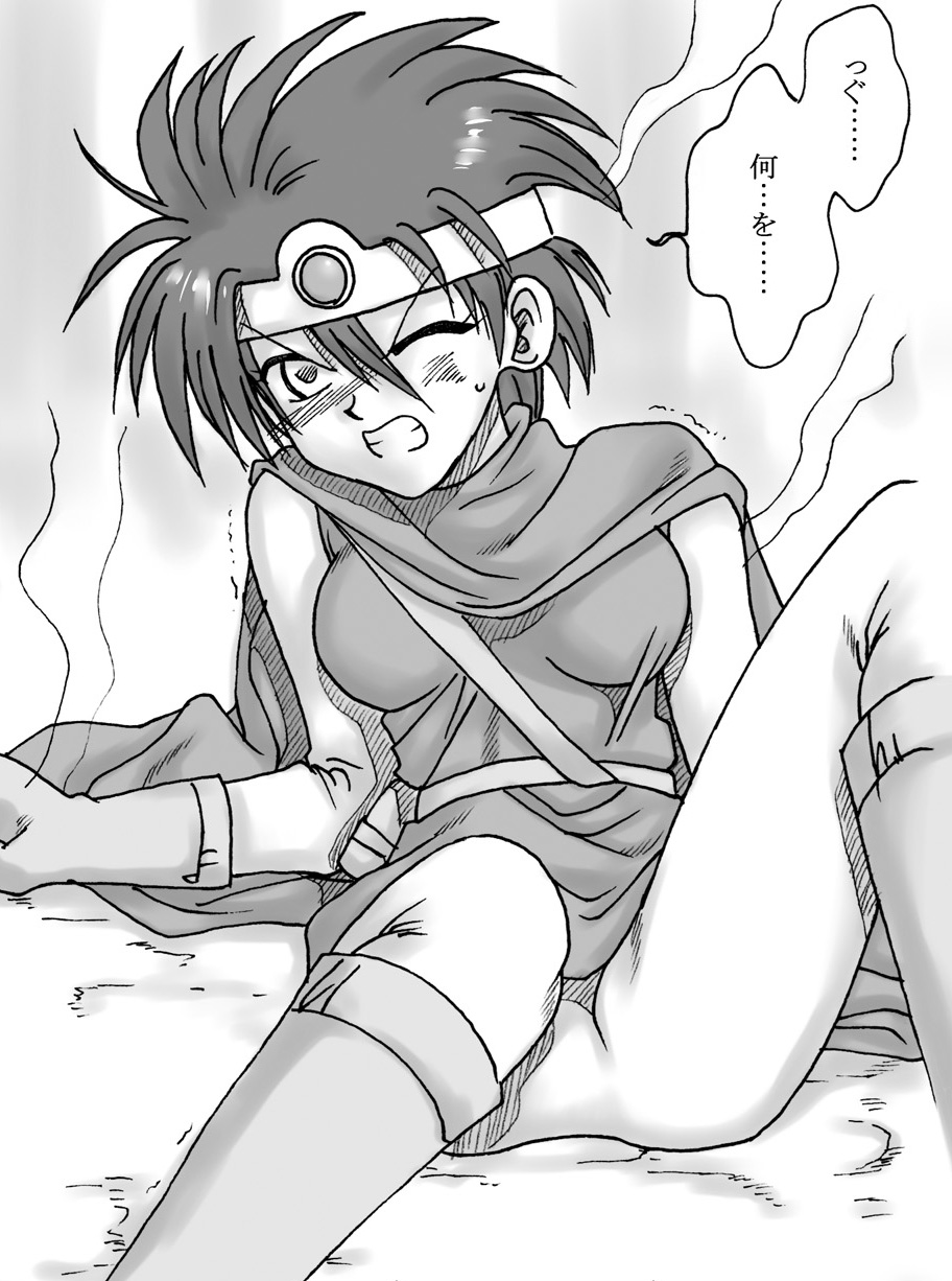 [リボーンズナイツ (京野秋)] 竜を探す人 (ドラゴンクエストIII)