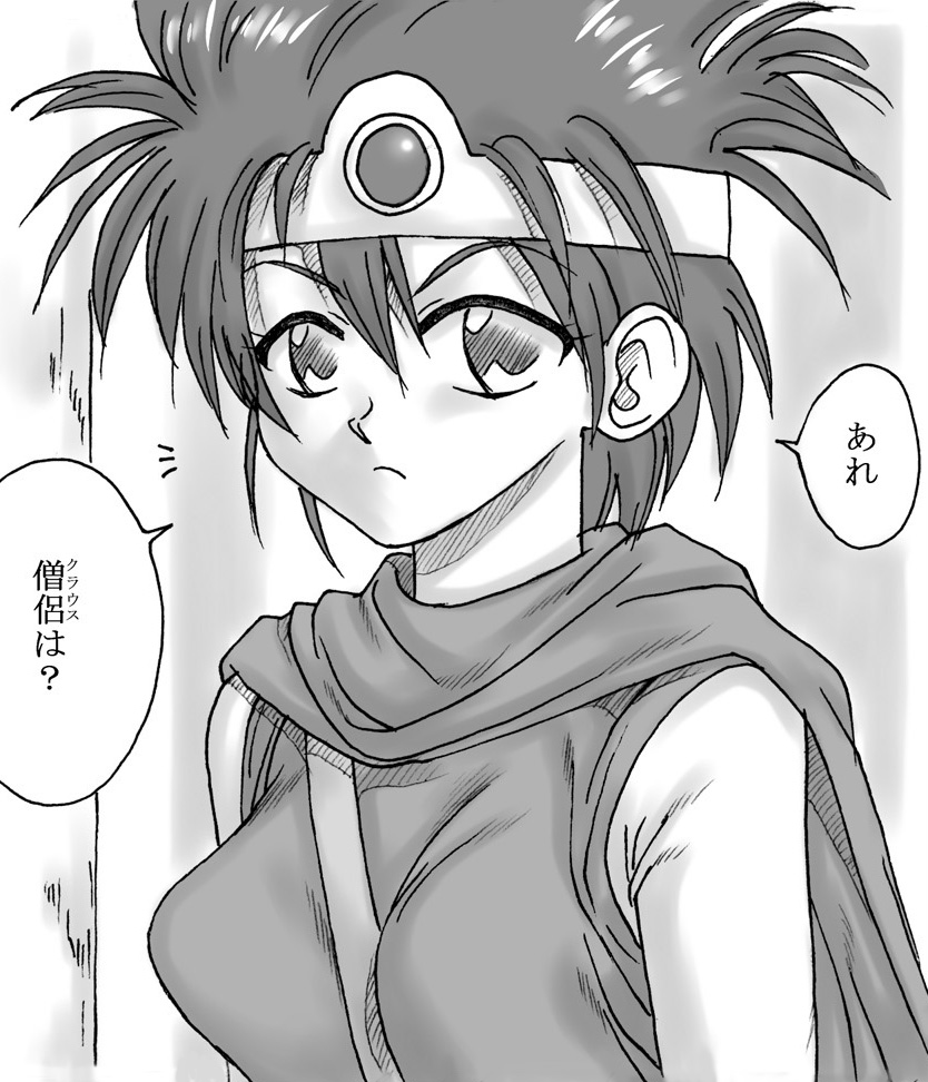 [リボーンズナイツ (京野秋)] 竜を探す人 (ドラゴンクエストIII)