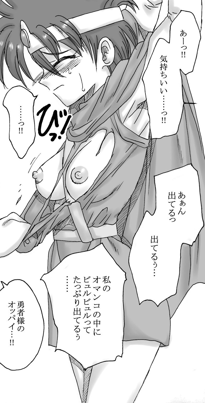 [リボーンズナイツ (京野秋)] 竜を探す人 (ドラゴンクエストIII)