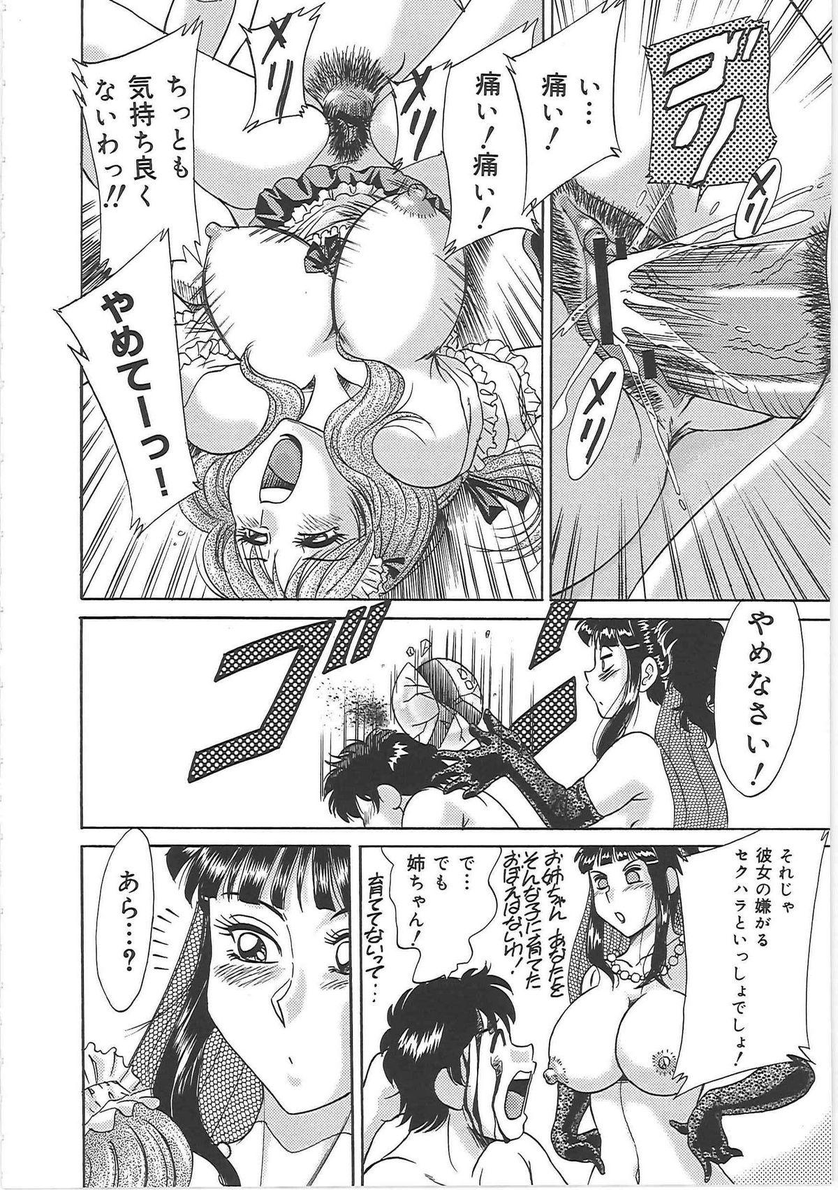 [ちゃんぽん雅] 超おねーさん天国 5 -淫職編-